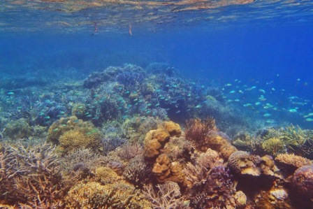 Hutan Bawah Laut kep Kangean, 1. Pantai Slopeng Madura, 2. Pantai Siring Kemuning, 3. Air Terjun Toroan , 4. Pantai Sambilangan , 5. Vihara Avalokitesvara, 6. Gili Labak Madura, 7. Pantai Lombang, 8. Wisata Taman Tectona, 9. Masjid Agung Sumenep, 10. Museum Keraton Sumenep, 11. Pantai Rongkang, 12. Boekit Tinggi Daramista, 13. Kepulauan Kangean , 14. Hutan Bawah Laut kep Kangean, 15. Mercusuar Bangkalan, 16. Jembatan Suramadu, 17. Wisata Budaya Karapan Sapi, 18. Wisata Bukit Jaddhih, 19. Pantai Rindu, 20. Gua Blaban, 21. Api Tak Kunjung Padam, 22. Wisata Bukit Kehi, 23. Pantai Jumiang, 24. Monumen Sampang, 25. Tirta Sumekar Indah , 26. Pantai Camplong, 27. Pantai Batu Kerbuy, 28. Pantai Ponjuk Timur Talango, 29. Bukit Geger Bangkalan, 30. Bukit Pelalangan Arosbaya, 31. Air Terjun Batu Raja Manitan, 32. Bukit Cinta Pamekasan, 33. Puncak Ratu Pamekasan, 34. Bukit Lampion Beramah, 35. Wisata Alam Bukit Brukoh, 36. Pantai Nepa, 37. Wisata Kota Tua Kalianget, 38. Air terjun Kokop, 39. Sentra Batik Madura