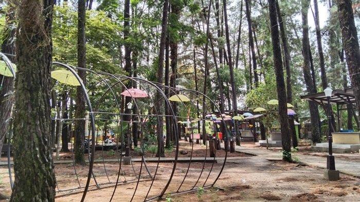Hutan Pinus Mentaos Banjarbaru via Tribunnews, 1. Pasar Terapung Muara Kuin Banjarmasin, 2. Pulau Kembang, 3. Wisata Religi ke Masjid Sultan Suriansyah, 4. Masjid Sabilal Muhtadin, 5. Taman Siring Sungai Martapura, 6. Taman Maskot, 7. Museum Wasaka, 8. Rafting Bambu di Sungai Amandit, 9. Jembatan Barito, 10. Pusat Kuliner Tepian Sungai Martapura, 11. Tempat Wisata Pantai Jodoh Banjarmasin, 12. Wisata ke Air Terjun Bajuin , 13. Menara Pandang Banjarmasin, 14. Wisata Susur Sungai Naik Kelotok, 15. Wisata Pulau Bakut Banjarmasin, 16. Soto Banjar Bang Amat, 17. Lontong Orari, 18. Kampung Sasirangan khas Banjar, 19. Pasar Terapung Lok Baintan, 20. Pasar Terapung Siring Sungai Martapura, 21. Taman Satwa Banjarmasin, 22. Tempat Wisata Bukit Langgara, 23. Tempat Wisata Bukit Rimpi Pelaihari, 24. Tempat Wisata Pulau Samber Gelap, 25. Hutan Pinus Mentaos, 26. Trans Studio Mini, 27. Pulau Kaget Asylum Margasatwa, 28. Wisata Danau Seran, 29. Taman Van Der Pijl, 30. Waterboom Banua Anyar, 31. Waterboom Pesona Modern, 32. Arung Jeram Sungai Kambang, 33. Taman Labirin Pelaihari