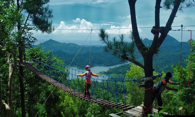 Jembatan monyet kalibiru Jogja, Desa dan Hutan Wisata Kalibiru Jogja, Lokasi Objek Wisata Alam Kalibiru Jogja, Rute Menuju Wisata Alam Kalibiru Jogja, Harga Tiket Masuk Kalibiru Jogja, Fasilitas Objek Wisata Alam Kalibiru Jogja, Kuliner Lezat di Objek Wisata Kalibiru Jogja, Foto Aktivitas Seru di Kalibiru Jogja, Akomodasi di Sekitar Kalibiru Jogja, Hubungi Pengelola
