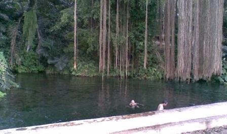 Mata Air Sirah Cipelang, 1. Kampung Toga, 2. Curug Cigorobog, 3. Agrowisata Kampung Nangorak, 4. Curug Sabuk, 5. Wisata Alam Pangjugjugan, 6. Sumber Air Panas Sekarwangi, 7. Perkebunan Teh Margawindu, 8.  Wisata Kuliner Soto Bongko Khas Sumedang, 9. Mendaki Gunung Tampomas Sumedang, 10. Liburan ke Curug Ciputrawangi Sumedang, 11. Objek Wisata Situ Cilembang di Sumedang, 12. Gunung Kunci – Tempat Wisata Sejarah di Sumedang , 13. River Tubing, 14. Museum Prabu Geusan Ulun, 15. Curug Cinulang, 16. Wisata Air Gajah Depa, 17. Mata Air Sirah Cipelang, 18. Pemandian Air Panas Cileungsing, 19. Wisata ke Curug Cipongkor Sumedang, 20. Wisata Paralayang di Batu Dua Gunung Lingga, 21. Wisata Situs Prabu Tajimalela Gunung Lingga, 22. Cipanteneun, 23. Mata Air Cikandung Sumedang, 24. Puncak Gunung Batu Sumedang, 25. Wisata Waduk Jatigede Sumedang, 26. Wisata Taman Buru Masigit Kareumbi, 27. Wisata Saung Cibingbin Sumedang, 28. Curug Cibayawak Desa Jembarwangi Tomo, 29. Puncak Damar Baros Jatigede Sumedang, 30. Jembatan Cincin Cikuda Jatinangor Sumedang, 31. Eco Green Park Kampung Karuhun, 32. Sensasi Arung Jeram Pangcalikan, 33. Wisata ke Gunung Kerenceng Sumedang, 34. Makam Cut Nyak Dien, 35. Akhiri Petualangan Kalian di Sumedang dengan Memborong Tahu Sumedang untuk Oleh-oleh