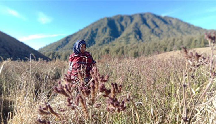 Oro Oro Ombo, 1. Pemandian Alam Selokambang, 2. Liburan ke Pantai Bambang Lumajang, 3. Wisata Sejara ke Candi Mandara Giri Lumajang, 4. Tempat Wisata Alam Goa Tetes Lumajang, 5. Liburan Seru ke Gunung Semeru Lumajang, 6. Kawasan Wonorejo Terpadu (KWT) Lumajang, 7. Liburan Seru ke Pantai Watu Godeg Lumajang, 8. Tempat Wisata Alam Danau Ranu Kumbolo Lumajang, 9. Tempat Wisata Pantai Dampar Lumajang, 10. Berwisata ke Pantai Watu Pecak Lumajang, 11. Tempat Liburan Keluarga Pantai Tlepuk Lumajang, 12. Tempat Wisata Seru Gunung Lemongan Lumajang, 13. Wisata Air Terjun Manggisan Lumajang, 14. Puncak B-29, 15. Wisata Kebun Teh Kertowono Gucialit Lumajang, 16. Wisata Sejarah Situs Biting, 17. Tubing Adventure Kali Betoto, 18. Air Terjun Coban Sewu, 19. Ranu Regulo, 20. Ranu Pane, 21. Ranu Bedali, 22. Ranu Pakis, 23. Danau Klakah, 24. Wisata Air Terjun Coban Pawon Lumajang, 25. Wisata Hutan Bambu Lumajang, 26. Air Terjun Kapas Biru, 27. Ranu Lading, 28. Kolam Renang Veteran, 29. Agrowisata Lumajang, 30. Objek Wisata Goa Bima di Lumajang, 31. Wisata Air Terjun Watu Lapis Lumajang, 32. Wisata Pantai Wotgalih Lumajang, 33. Agrowisata Bunga Lumajang, 34. Museum Daerah Lumajang, 35. Gunung Sawur, 36. Gunung Wayang, 37. Coban Sriti (Antrukan Wolu), 38. Coban Kabut Pelangi, 39. Wisata Bukit Cinta Mahameru, 40. Oro Oro Ombo, 41. Air Terjun Gucialit (Semingkir), 42. Tempat Wisata Air Terjun Carang Kuning, 43. Air Terjun Antrukan Trap Seribu, 44. Air Terjun Kedung Kuwung, 45. Tirtosari View, 46. Air Terjun Antrukan Menjangan, 47. Air Terjun Antrukan Jago Lumajang, 48. Kebun Kertonowo, 49. Hutan Pinus Penanggal, 50. Grati Park, 51. Puncak Gunung Wayang, 52. Alun-alun Lumajang