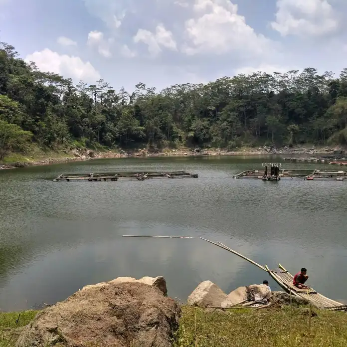 Ranu Lading, 1. Pemandian Alam Selokambang, 2. Liburan ke Pantai Bambang Lumajang, 3. Wisata Sejara ke Candi Mandara Giri Lumajang, 4. Tempat Wisata Alam Goa Tetes Lumajang, 5. Liburan Seru ke Gunung Semeru Lumajang, 6. Kawasan Wonorejo Terpadu (KWT) Lumajang, 7. Liburan Seru ke Pantai Watu Godeg Lumajang, 8. Tempat Wisata Alam Danau Ranu Kumbolo Lumajang, 9. Tempat Wisata Pantai Dampar Lumajang, 10. Berwisata ke Pantai Watu Pecak Lumajang, 11. Tempat Liburan Keluarga Pantai Tlepuk Lumajang, 12. Tempat Wisata Seru Gunung Lemongan Lumajang, 13. Wisata Air Terjun Manggisan Lumajang, 14. Puncak B-29, 15. Wisata Kebun Teh Kertowono Gucialit Lumajang, 16. Wisata Sejarah Situs Biting, 17. Tubing Adventure Kali Betoto, 18. Air Terjun Coban Sewu, 19. Ranu Regulo, 20. Ranu Pane, 21. Ranu Bedali, 22. Ranu Pakis, 23. Danau Klakah, 24. Wisata Air Terjun Coban Pawon Lumajang, 25. Wisata Hutan Bambu Lumajang, 26. Air Terjun Kapas Biru, 27. Ranu Lading, 28. Kolam Renang Veteran, 29. Agrowisata Lumajang, 30. Objek Wisata Goa Bima di Lumajang, 31. Wisata Air Terjun Watu Lapis Lumajang, 32. Wisata Pantai Wotgalih Lumajang, 33. Agrowisata Bunga Lumajang, 34. Museum Daerah Lumajang, 35. Gunung Sawur, 36. Gunung Wayang, 37. Coban Sriti (Antrukan Wolu), 38. Coban Kabut Pelangi, 39. Wisata Bukit Cinta Mahameru, 40. Oro Oro Ombo, 41. Air Terjun Gucialit (Semingkir), 42. Tempat Wisata Air Terjun Carang Kuning, 43. Air Terjun Antrukan Trap Seribu, 44. Air Terjun Kedung Kuwung, 45. Tirtosari View, 46. Air Terjun Antrukan Menjangan, 47. Air Terjun Antrukan Jago Lumajang, 48. Kebun Kertonowo, 49. Hutan Pinus Penanggal, 50. Grati Park, 51. Puncak Gunung Wayang, 52. Alun-alun Lumajang