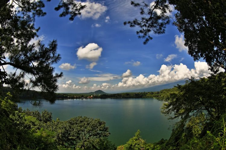 Ranu Pakis, 1. Pemandian Alam Selokambang, 2. Liburan ke Pantai Bambang Lumajang, 3. Wisata Sejara ke Candi Mandara Giri Lumajang, 4. Tempat Wisata Alam Goa Tetes Lumajang, 5. Liburan Seru ke Gunung Semeru Lumajang, 6. Kawasan Wonorejo Terpadu (KWT) Lumajang, 7. Liburan Seru ke Pantai Watu Godeg Lumajang, 8. Tempat Wisata Alam Danau Ranu Kumbolo Lumajang, 9. Tempat Wisata Pantai Dampar Lumajang, 10. Berwisata ke Pantai Watu Pecak Lumajang, 11. Tempat Liburan Keluarga Pantai Tlepuk Lumajang, 12. Tempat Wisata Seru Gunung Lemongan Lumajang, 13. Wisata Air Terjun Manggisan Lumajang, 14. Puncak B-29, 15. Wisata Kebun Teh Kertowono Gucialit Lumajang, 16. Wisata Sejarah Situs Biting, 17. Tubing Adventure Kali Betoto, 18. Air Terjun Coban Sewu, 19. Ranu Regulo, 20. Ranu Pane, 21. Ranu Bedali, 22. Ranu Pakis, 23. Danau Klakah, 24. Wisata Air Terjun Coban Pawon Lumajang, 25. Wisata Hutan Bambu Lumajang, 26. Air Terjun Kapas Biru, 27. Ranu Lading, 28. Kolam Renang Veteran, 29. Agrowisata Lumajang, 30. Objek Wisata Goa Bima di Lumajang, 31. Wisata Air Terjun Watu Lapis Lumajang, 32. Wisata Pantai Wotgalih Lumajang, 33. Agrowisata Bunga Lumajang, 34. Museum Daerah Lumajang, 35. Gunung Sawur, 36. Gunung Wayang, 37. Coban Sriti (Antrukan Wolu), 38. Coban Kabut Pelangi, 39. Wisata Bukit Cinta Mahameru, 40. Oro Oro Ombo, 41. Air Terjun Gucialit (Semingkir), 42. Tempat Wisata Air Terjun Carang Kuning, 43. Air Terjun Antrukan Trap Seribu, 44. Air Terjun Kedung Kuwung, 45. Tirtosari View, 46. Air Terjun Antrukan Menjangan, 47. Air Terjun Antrukan Jago Lumajang, 48. Kebun Kertonowo, 49. Hutan Pinus Penanggal, 50. Grati Park, 51. Puncak Gunung Wayang, 52. Alun-alun Lumajang