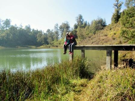 Ranu Regulo, 1. Pemandian Alam Selokambang, 2. Liburan ke Pantai Bambang Lumajang, 3. Wisata Sejara ke Candi Mandara Giri Lumajang, 4. Tempat Wisata Alam Goa Tetes Lumajang, 5. Liburan Seru ke Gunung Semeru Lumajang, 6. Kawasan Wonorejo Terpadu (KWT) Lumajang, 7. Liburan Seru ke Pantai Watu Godeg Lumajang, 8. Tempat Wisata Alam Danau Ranu Kumbolo Lumajang, 9. Tempat Wisata Pantai Dampar Lumajang, 10. Berwisata ke Pantai Watu Pecak Lumajang, 11. Tempat Liburan Keluarga Pantai Tlepuk Lumajang, 12. Tempat Wisata Seru Gunung Lemongan Lumajang, 13. Wisata Air Terjun Manggisan Lumajang, 14. Puncak B-29, 15. Wisata Kebun Teh Kertowono Gucialit Lumajang, 16. Wisata Sejarah Situs Biting, 17. Tubing Adventure Kali Betoto, 18. Air Terjun Coban Sewu, 19. Ranu Regulo, 20. Ranu Pane, 21. Ranu Bedali, 22. Ranu Pakis, 23. Danau Klakah, 24. Wisata Air Terjun Coban Pawon Lumajang, 25. Wisata Hutan Bambu Lumajang, 26. Air Terjun Kapas Biru, 27. Ranu Lading, 28. Kolam Renang Veteran, 29. Agrowisata Lumajang, 30. Objek Wisata Goa Bima di Lumajang, 31. Wisata Air Terjun Watu Lapis Lumajang, 32. Wisata Pantai Wotgalih Lumajang, 33. Agrowisata Bunga Lumajang, 34. Museum Daerah Lumajang, 35. Gunung Sawur, 36. Gunung Wayang, 37. Coban Sriti (Antrukan Wolu), 38. Coban Kabut Pelangi, 39. Wisata Bukit Cinta Mahameru, 40. Oro Oro Ombo, 41. Air Terjun Gucialit (Semingkir), 42. Tempat Wisata Air Terjun Carang Kuning, 43. Air Terjun Antrukan Trap Seribu, 44. Air Terjun Kedung Kuwung, 45. Tirtosari View, 46. Air Terjun Antrukan Menjangan, 47. Air Terjun Antrukan Jago Lumajang, 48. Kebun Kertonowo, 49. Hutan Pinus Penanggal, 50. Grati Park, 51. Puncak Gunung Wayang, 52. Alun-alun Lumajang