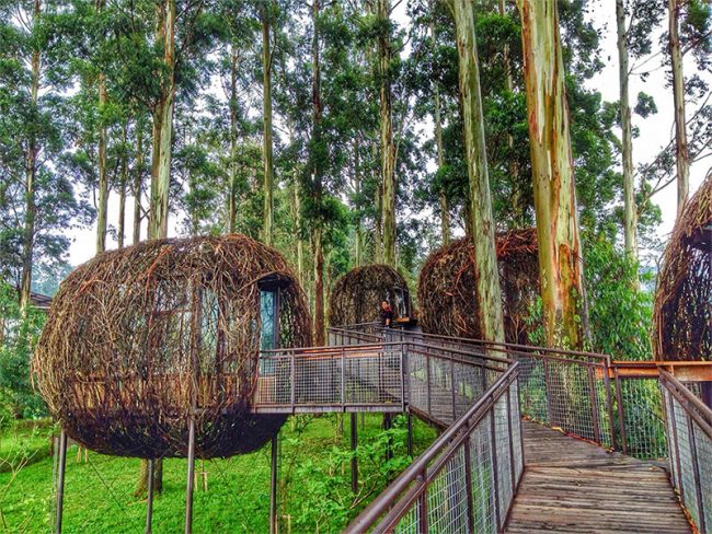 Rumah Makan Lutung Kasarung Dusun Bambu Lembang, Informasi Dasar, Daya Tarik Lembang, Tempat Wisata di Lembang Bandung, Tempat Wisata di Lembang yang Sudah Tutup, Aktivitas Seru yang Wajib Dilakukan di Lembang, Akses Menuju Lembang