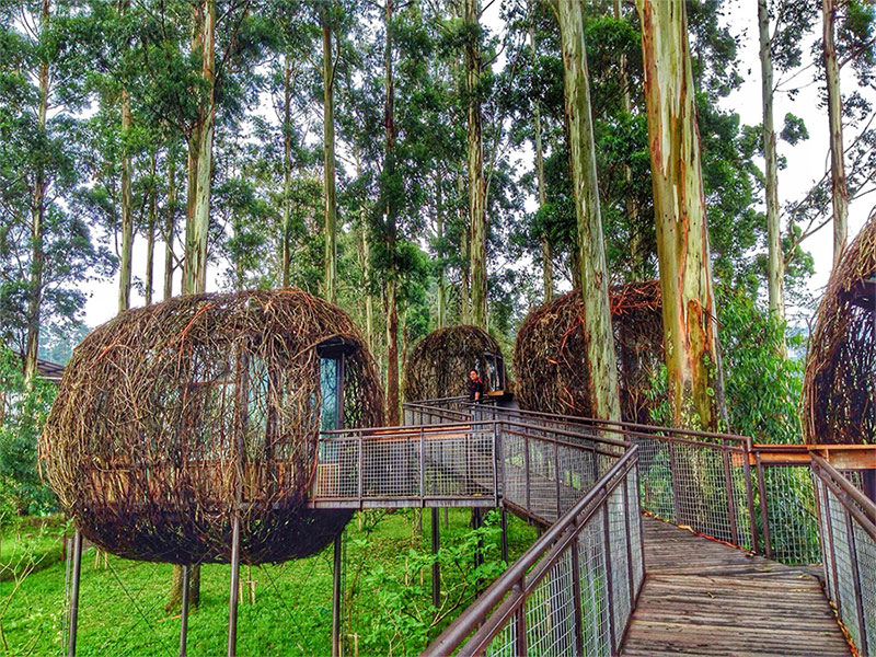 Rumah Makan Lutung Kasarung Dusun Bambu Lembang, 1. Cafe Burangrang, 2. Lutung Kasarung, 3. Pasar Khatulistiwa, 4. Saung/Gazebo Purbasari Dusun Bambu, 5. Playground Dusun Bambu, 6. Villa Kampung Layung di Dusun Bambu, 7. Camping Ground, 8. Permainan Memanah Dusun Bambu, 9. Airsoft gun Dusun Bambu Lembang, 10. Melempar pisau Dusun Bambu Lembang, 11. Rabbit Wonderland, 12. Paket Track Sepeda Dusun Bambu Lembang, 13. Gokart Dusun Bambu Lembang, 14. Hiking di dusun bambu