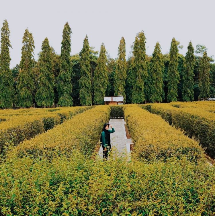 Taman Labirin Pelaihari via Instagram.com Julinasution18, 1. Pasar Terapung Muara Kuin Banjarmasin, 2. Pulau Kembang, 3. Wisata Religi ke Masjid Sultan Suriansyah, 4. Masjid Sabilal Muhtadin, 5. Taman Siring Sungai Martapura, 6. Taman Maskot, 7. Museum Wasaka, 8. Rafting Bambu di Sungai Amandit, 9. Jembatan Barito, 10. Pusat Kuliner Tepian Sungai Martapura, 11. Tempat Wisata Pantai Jodoh Banjarmasin, 12. Wisata ke Air Terjun Bajuin , 13. Menara Pandang Banjarmasin, 14. Wisata Susur Sungai Naik Kelotok, 15. Wisata Pulau Bakut Banjarmasin, 16. Soto Banjar Bang Amat, 17. Lontong Orari, 18. Kampung Sasirangan khas Banjar, 19. Pasar Terapung Lok Baintan, 20. Pasar Terapung Siring Sungai Martapura, 21. Taman Satwa Banjarmasin, 22. Tempat Wisata Bukit Langgara, 23. Tempat Wisata Bukit Rimpi Pelaihari, 24. Tempat Wisata Pulau Samber Gelap, 25. Hutan Pinus Mentaos, 26. Trans Studio Mini, 27. Pulau Kaget Asylum Margasatwa, 28. Wisata Danau Seran, 29. Taman Van Der Pijl, 30. Waterboom Banua Anyar, 31. Waterboom Pesona Modern, 32. Arung Jeram Sungai Kambang, 33. Taman Labirin Pelaihari