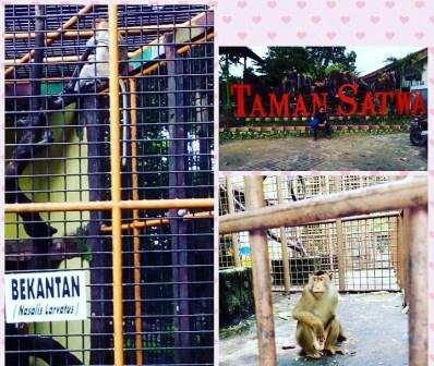 Taman Satwa Banjarmasin, 1. Pasar Terapung Muara Kuin Banjarmasin, 2. Pulau Kembang, 3. Wisata Religi ke Masjid Sultan Suriansyah, 4. Masjid Sabilal Muhtadin, 5. Taman Siring Sungai Martapura, 6. Taman Maskot, 7. Museum Wasaka, 8. Rafting Bambu di Sungai Amandit, 9. Jembatan Barito, 10. Pusat Kuliner Tepian Sungai Martapura, 11. Tempat Wisata Pantai Jodoh Banjarmasin, 12. Wisata ke Air Terjun Bajuin , 13. Menara Pandang Banjarmasin, 14. Wisata Susur Sungai Naik Kelotok, 15. Wisata Pulau Bakut Banjarmasin, 16. Soto Banjar Bang Amat, 17. Lontong Orari, 18. Kampung Sasirangan khas Banjar, 19. Pasar Terapung Lok Baintan, 20. Pasar Terapung Siring Sungai Martapura, 21. Taman Satwa Banjarmasin, 22. Tempat Wisata Bukit Langgara, 23. Tempat Wisata Bukit Rimpi Pelaihari, 24. Tempat Wisata Pulau Samber Gelap, 25. Hutan Pinus Mentaos, 26. Trans Studio Mini, 27. Pulau Kaget Asylum Margasatwa, 28. Wisata Danau Seran, 29. Taman Van Der Pijl, 30. Waterboom Banua Anyar, 31. Waterboom Pesona Modern, 32. Arung Jeram Sungai Kambang, 33. Taman Labirin Pelaihari