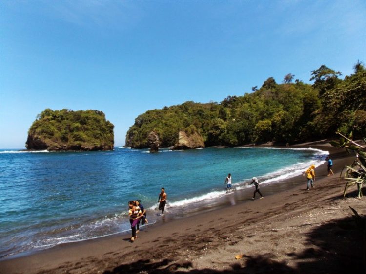 Tempat Liburan Keluarga Pantai Tlepuk Lumajang, 1. Pemandian Alam Selokambang, 2. Liburan ke Pantai Bambang Lumajang, 3. Wisata Sejara ke Candi Mandara Giri Lumajang, 4. Tempat Wisata Alam Goa Tetes Lumajang, 5. Liburan Seru ke Gunung Semeru Lumajang, 6. Kawasan Wonorejo Terpadu (KWT) Lumajang, 7. Liburan Seru ke Pantai Watu Godeg Lumajang, 8. Tempat Wisata Alam Danau Ranu Kumbolo Lumajang, 9. Tempat Wisata Pantai Dampar Lumajang, 10. Berwisata ke Pantai Watu Pecak Lumajang, 11. Tempat Liburan Keluarga Pantai Tlepuk Lumajang, 12. Tempat Wisata Seru Gunung Lemongan Lumajang, 13. Wisata Air Terjun Manggisan Lumajang, 14. Puncak B-29, 15. Wisata Kebun Teh Kertowono Gucialit Lumajang, 16. Wisata Sejarah Situs Biting, 17. Tubing Adventure Kali Betoto, 18. Air Terjun Coban Sewu, 19. Ranu Regulo, 20. Ranu Pane, 21. Ranu Bedali, 22. Ranu Pakis, 23. Danau Klakah, 24. Wisata Air Terjun Coban Pawon Lumajang, 25. Wisata Hutan Bambu Lumajang, 26. Air Terjun Kapas Biru, 27. Ranu Lading, 28. Kolam Renang Veteran, 29. Agrowisata Lumajang, 30. Objek Wisata Goa Bima di Lumajang, 31. Wisata Air Terjun Watu Lapis Lumajang, 32. Wisata Pantai Wotgalih Lumajang, 33. Agrowisata Bunga Lumajang, 34. Museum Daerah Lumajang, 35. Gunung Sawur, 36. Gunung Wayang, 37. Coban Sriti (Antrukan Wolu), 38. Coban Kabut Pelangi, 39. Wisata Bukit Cinta Mahameru, 40. Oro Oro Ombo, 41. Air Terjun Gucialit (Semingkir), 42. Tempat Wisata Air Terjun Carang Kuning, 43. Air Terjun Antrukan Trap Seribu, 44. Air Terjun Kedung Kuwung, 45. Tirtosari View, 46. Air Terjun Antrukan Menjangan, 47. Air Terjun Antrukan Jago Lumajang, 48. Kebun Kertonowo, 49. Hutan Pinus Penanggal, 50. Grati Park, 51. Puncak Gunung Wayang, 52. Alun-alun Lumajang