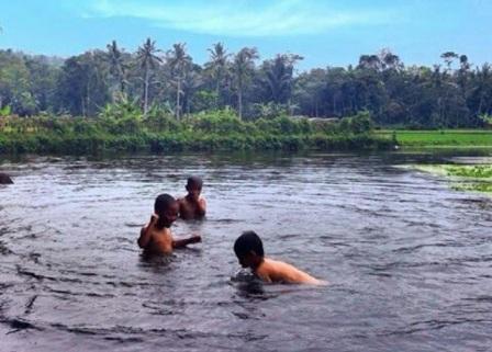 Tempat Wisata Mata Air Cikandung Sumedang, 1. Kampung Toga, 2. Curug Cigorobog, 3. Agrowisata Kampung Nangorak, 4. Curug Sabuk, 5. Wisata Alam Pangjugjugan, 6. Sumber Air Panas Sekarwangi, 7. Perkebunan Teh Margawindu, 8.  Wisata Kuliner Soto Bongko Khas Sumedang, 9. Mendaki Gunung Tampomas Sumedang, 10. Liburan ke Curug Ciputrawangi Sumedang, 11. Objek Wisata Situ Cilembang di Sumedang, 12. Gunung Kunci – Tempat Wisata Sejarah di Sumedang , 13. River Tubing, 14. Museum Prabu Geusan Ulun, 15. Curug Cinulang, 16. Wisata Air Gajah Depa, 17. Mata Air Sirah Cipelang, 18. Pemandian Air Panas Cileungsing, 19. Wisata ke Curug Cipongkor Sumedang, 20. Wisata Paralayang di Batu Dua Gunung Lingga, 21. Wisata Situs Prabu Tajimalela Gunung Lingga, 22. Cipanteneun, 23. Mata Air Cikandung Sumedang, 24. Puncak Gunung Batu Sumedang, 25. Wisata Waduk Jatigede Sumedang, 26. Wisata Taman Buru Masigit Kareumbi, 27. Wisata Saung Cibingbin Sumedang, 28. Curug Cibayawak Desa Jembarwangi Tomo, 29. Puncak Damar Baros Jatigede Sumedang, 30. Jembatan Cincin Cikuda Jatinangor Sumedang, 31. Eco Green Park Kampung Karuhun, 32. Sensasi Arung Jeram Pangcalikan, 33. Wisata ke Gunung Kerenceng Sumedang, 34. Makam Cut Nyak Dien, 35. Akhiri Petualangan Kalian di Sumedang dengan Memborong Tahu Sumedang untuk Oleh-oleh
