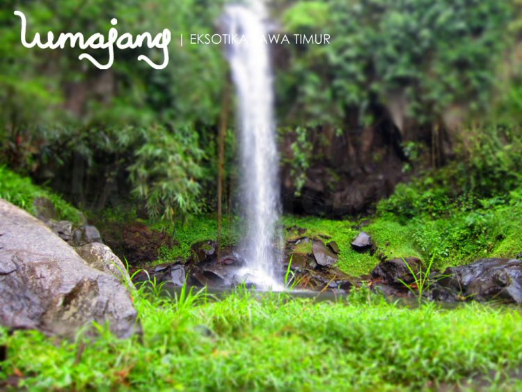 Tempat Wisata Air Terjun Carang Kuning, 1. Pemandian Alam Selokambang, 2. Liburan ke Pantai Bambang Lumajang, 3. Wisata Sejara ke Candi Mandara Giri Lumajang, 4. Tempat Wisata Alam Goa Tetes Lumajang, 5. Liburan Seru ke Gunung Semeru Lumajang, 6. Kawasan Wonorejo Terpadu (KWT) Lumajang, 7. Liburan Seru ke Pantai Watu Godeg Lumajang, 8. Tempat Wisata Alam Danau Ranu Kumbolo Lumajang, 9. Tempat Wisata Pantai Dampar Lumajang, 10. Berwisata ke Pantai Watu Pecak Lumajang, 11. Tempat Liburan Keluarga Pantai Tlepuk Lumajang, 12. Tempat Wisata Seru Gunung Lemongan Lumajang, 13. Wisata Air Terjun Manggisan Lumajang, 14. Puncak B-29, 15. Wisata Kebun Teh Kertowono Gucialit Lumajang, 16. Wisata Sejarah Situs Biting, 17. Tubing Adventure Kali Betoto, 18. Air Terjun Coban Sewu, 19. Ranu Regulo, 20. Ranu Pane, 21. Ranu Bedali, 22. Ranu Pakis, 23. Danau Klakah, 24. Wisata Air Terjun Coban Pawon Lumajang, 25. Wisata Hutan Bambu Lumajang, 26. Air Terjun Kapas Biru, 27. Ranu Lading, 28. Kolam Renang Veteran, 29. Agrowisata Lumajang, 30. Objek Wisata Goa Bima di Lumajang, 31. Wisata Air Terjun Watu Lapis Lumajang, 32. Wisata Pantai Wotgalih Lumajang, 33. Agrowisata Bunga Lumajang, 34. Museum Daerah Lumajang, 35. Gunung Sawur, 36. Gunung Wayang, 37. Coban Sriti (Antrukan Wolu), 38. Coban Kabut Pelangi, 39. Wisata Bukit Cinta Mahameru, 40. Oro Oro Ombo, 41. Air Terjun Gucialit (Semingkir), 42. Tempat Wisata Air Terjun Carang Kuning, 43. Air Terjun Antrukan Trap Seribu, 44. Air Terjun Kedung Kuwung, 45. Tirtosari View, 46. Air Terjun Antrukan Menjangan, 47. Air Terjun Antrukan Jago Lumajang, 48. Kebun Kertonowo, 49. Hutan Pinus Penanggal, 50. Grati Park, 51. Puncak Gunung Wayang, 52. Alun-alun Lumajang