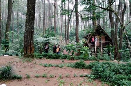 Tempat Wisata Taman Buru Masigit Kareumbi, 1. Kampung Toga, 2. Curug Cigorobog, 3. Agrowisata Kampung Nangorak, 4. Curug Sabuk, 5. Wisata Alam Pangjugjugan, 6. Sumber Air Panas Sekarwangi, 7. Perkebunan Teh Margawindu, 8.  Wisata Kuliner Soto Bongko Khas Sumedang, 9. Mendaki Gunung Tampomas Sumedang, 10. Liburan ke Curug Ciputrawangi Sumedang, 11. Objek Wisata Situ Cilembang di Sumedang, 12. Gunung Kunci – Tempat Wisata Sejarah di Sumedang , 13. River Tubing, 14. Museum Prabu Geusan Ulun, 15. Curug Cinulang, 16. Wisata Air Gajah Depa, 17. Mata Air Sirah Cipelang, 18. Pemandian Air Panas Cileungsing, 19. Wisata ke Curug Cipongkor Sumedang, 20. Wisata Paralayang di Batu Dua Gunung Lingga, 21. Wisata Situs Prabu Tajimalela Gunung Lingga, 22. Cipanteneun, 23. Mata Air Cikandung Sumedang, 24. Puncak Gunung Batu Sumedang, 25. Wisata Waduk Jatigede Sumedang, 26. Wisata Taman Buru Masigit Kareumbi, 27. Wisata Saung Cibingbin Sumedang, 28. Curug Cibayawak Desa Jembarwangi Tomo, 29. Puncak Damar Baros Jatigede Sumedang, 30. Jembatan Cincin Cikuda Jatinangor Sumedang, 31. Eco Green Park Kampung Karuhun, 32. Sensasi Arung Jeram Pangcalikan, 33. Wisata ke Gunung Kerenceng Sumedang, 34. Makam Cut Nyak Dien, 35. Akhiri Petualangan Kalian di Sumedang dengan Memborong Tahu Sumedang untuk Oleh-oleh