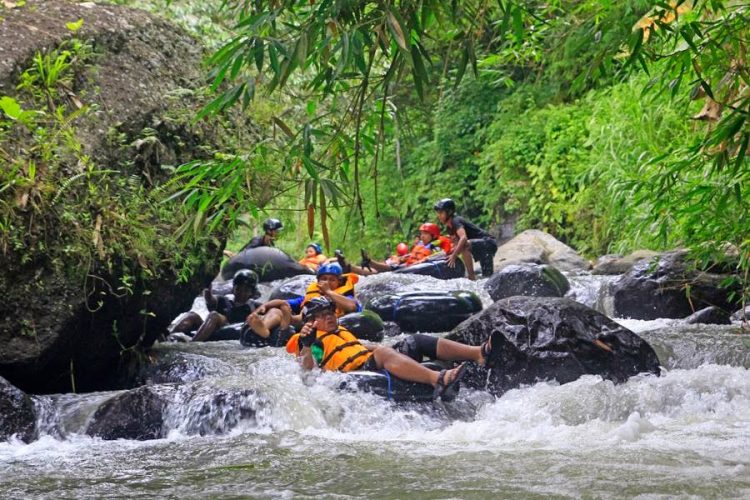 Tubing Adventure Kali Betoto, 1. Pemandian Alam Selokambang, 2. Liburan ke Pantai Bambang Lumajang, 3. Wisata Sejara ke Candi Mandara Giri Lumajang, 4. Tempat Wisata Alam Goa Tetes Lumajang, 5. Liburan Seru ke Gunung Semeru Lumajang, 6. Kawasan Wonorejo Terpadu (KWT) Lumajang, 7. Liburan Seru ke Pantai Watu Godeg Lumajang, 8. Tempat Wisata Alam Danau Ranu Kumbolo Lumajang, 9. Tempat Wisata Pantai Dampar Lumajang, 10. Berwisata ke Pantai Watu Pecak Lumajang, 11. Tempat Liburan Keluarga Pantai Tlepuk Lumajang, 12. Tempat Wisata Seru Gunung Lemongan Lumajang, 13. Wisata Air Terjun Manggisan Lumajang, 14. Puncak B-29, 15. Wisata Kebun Teh Kertowono Gucialit Lumajang, 16. Wisata Sejarah Situs Biting, 17. Tubing Adventure Kali Betoto, 18. Air Terjun Coban Sewu, 19. Ranu Regulo, 20. Ranu Pane, 21. Ranu Bedali, 22. Ranu Pakis, 23. Danau Klakah, 24. Wisata Air Terjun Coban Pawon Lumajang, 25. Wisata Hutan Bambu Lumajang, 26. Air Terjun Kapas Biru, 27. Ranu Lading, 28. Kolam Renang Veteran, 29. Agrowisata Lumajang, 30. Objek Wisata Goa Bima di Lumajang, 31. Wisata Air Terjun Watu Lapis Lumajang, 32. Wisata Pantai Wotgalih Lumajang, 33. Agrowisata Bunga Lumajang, 34. Museum Daerah Lumajang, 35. Gunung Sawur, 36. Gunung Wayang, 37. Coban Sriti (Antrukan Wolu), 38. Coban Kabut Pelangi, 39. Wisata Bukit Cinta Mahameru, 40. Oro Oro Ombo, 41. Air Terjun Gucialit (Semingkir), 42. Tempat Wisata Air Terjun Carang Kuning, 43. Air Terjun Antrukan Trap Seribu, 44. Air Terjun Kedung Kuwung, 45. Tirtosari View, 46. Air Terjun Antrukan Menjangan, 47. Air Terjun Antrukan Jago Lumajang, 48. Kebun Kertonowo, 49. Hutan Pinus Penanggal, 50. Grati Park, 51. Puncak Gunung Wayang, 52. Alun-alun Lumajang