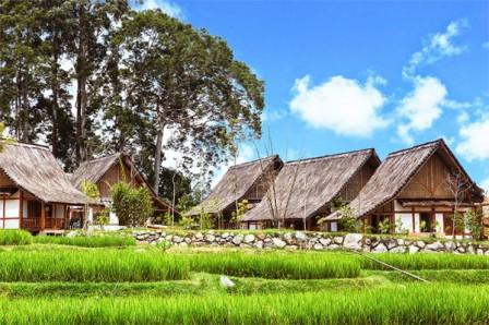 Villa Kampung Layung di Dusun Bambu, 1. Cafe Burangrang, 2. Lutung Kasarung, 3. Pasar Khatulistiwa, 4. Saung/Gazebo Purbasari Dusun Bambu, 5. Playground Dusun Bambu, 6. Villa Kampung Layung di Dusun Bambu, 7. Camping Ground, 8. Permainan Memanah Dusun Bambu, 9. Airsoft gun Dusun Bambu Lembang, 10. Melempar pisau Dusun Bambu Lembang, 11. Rabbit Wonderland, 12. Paket Track Sepeda Dusun Bambu Lembang, 13. Gokart Dusun Bambu Lembang, 14. Hiking di dusun bambu