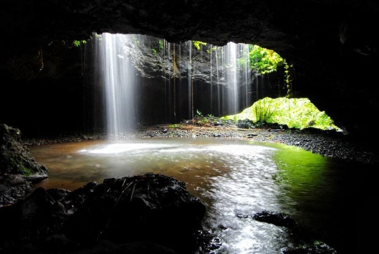 Wisata Air Terjun Coban Pawon Lumajang, 1. Pemandian Alam Selokambang, 2. Liburan ke Pantai Bambang Lumajang, 3. Wisata Sejara ke Candi Mandara Giri Lumajang, 4. Tempat Wisata Alam Goa Tetes Lumajang, 5. Liburan Seru ke Gunung Semeru Lumajang, 6. Kawasan Wonorejo Terpadu (KWT) Lumajang, 7. Liburan Seru ke Pantai Watu Godeg Lumajang, 8. Tempat Wisata Alam Danau Ranu Kumbolo Lumajang, 9. Tempat Wisata Pantai Dampar Lumajang, 10. Berwisata ke Pantai Watu Pecak Lumajang, 11. Tempat Liburan Keluarga Pantai Tlepuk Lumajang, 12. Tempat Wisata Seru Gunung Lemongan Lumajang, 13. Wisata Air Terjun Manggisan Lumajang, 14. Puncak B-29, 15. Wisata Kebun Teh Kertowono Gucialit Lumajang, 16. Wisata Sejarah Situs Biting, 17. Tubing Adventure Kali Betoto, 18. Air Terjun Coban Sewu, 19. Ranu Regulo, 20. Ranu Pane, 21. Ranu Bedali, 22. Ranu Pakis, 23. Danau Klakah, 24. Wisata Air Terjun Coban Pawon Lumajang, 25. Wisata Hutan Bambu Lumajang, 26. Air Terjun Kapas Biru, 27. Ranu Lading, 28. Kolam Renang Veteran, 29. Agrowisata Lumajang, 30. Objek Wisata Goa Bima di Lumajang, 31. Wisata Air Terjun Watu Lapis Lumajang, 32. Wisata Pantai Wotgalih Lumajang, 33. Agrowisata Bunga Lumajang, 34. Museum Daerah Lumajang, 35. Gunung Sawur, 36. Gunung Wayang, 37. Coban Sriti (Antrukan Wolu), 38. Coban Kabut Pelangi, 39. Wisata Bukit Cinta Mahameru, 40. Oro Oro Ombo, 41. Air Terjun Gucialit (Semingkir), 42. Tempat Wisata Air Terjun Carang Kuning, 43. Air Terjun Antrukan Trap Seribu, 44. Air Terjun Kedung Kuwung, 45. Tirtosari View, 46. Air Terjun Antrukan Menjangan, 47. Air Terjun Antrukan Jago Lumajang, 48. Kebun Kertonowo, 49. Hutan Pinus Penanggal, 50. Grati Park, 51. Puncak Gunung Wayang, 52. Alun-alun Lumajang
