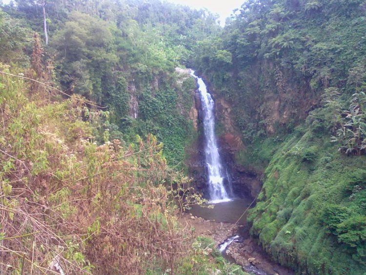 Wisata Air Terjun Manggisan Lumajang, 1. Pemandian Alam Selokambang, 2. Liburan ke Pantai Bambang Lumajang, 3. Wisata Sejara ke Candi Mandara Giri Lumajang, 4. Tempat Wisata Alam Goa Tetes Lumajang, 5. Liburan Seru ke Gunung Semeru Lumajang, 6. Kawasan Wonorejo Terpadu (KWT) Lumajang, 7. Liburan Seru ke Pantai Watu Godeg Lumajang, 8. Tempat Wisata Alam Danau Ranu Kumbolo Lumajang, 9. Tempat Wisata Pantai Dampar Lumajang, 10. Berwisata ke Pantai Watu Pecak Lumajang, 11. Tempat Liburan Keluarga Pantai Tlepuk Lumajang, 12. Tempat Wisata Seru Gunung Lemongan Lumajang, 13. Wisata Air Terjun Manggisan Lumajang, 14. Puncak B-29, 15. Wisata Kebun Teh Kertowono Gucialit Lumajang, 16. Wisata Sejarah Situs Biting, 17. Tubing Adventure Kali Betoto, 18. Air Terjun Coban Sewu, 19. Ranu Regulo, 20. Ranu Pane, 21. Ranu Bedali, 22. Ranu Pakis, 23. Danau Klakah, 24. Wisata Air Terjun Coban Pawon Lumajang, 25. Wisata Hutan Bambu Lumajang, 26. Air Terjun Kapas Biru, 27. Ranu Lading, 28. Kolam Renang Veteran, 29. Agrowisata Lumajang, 30. Objek Wisata Goa Bima di Lumajang, 31. Wisata Air Terjun Watu Lapis Lumajang, 32. Wisata Pantai Wotgalih Lumajang, 33. Agrowisata Bunga Lumajang, 34. Museum Daerah Lumajang, 35. Gunung Sawur, 36. Gunung Wayang, 37. Coban Sriti (Antrukan Wolu), 38. Coban Kabut Pelangi, 39. Wisata Bukit Cinta Mahameru, 40. Oro Oro Ombo, 41. Air Terjun Gucialit (Semingkir), 42. Tempat Wisata Air Terjun Carang Kuning, 43. Air Terjun Antrukan Trap Seribu, 44. Air Terjun Kedung Kuwung, 45. Tirtosari View, 46. Air Terjun Antrukan Menjangan, 47. Air Terjun Antrukan Jago Lumajang, 48. Kebun Kertonowo, 49. Hutan Pinus Penanggal, 50. Grati Park, 51. Puncak Gunung Wayang, 52. Alun-alun Lumajang