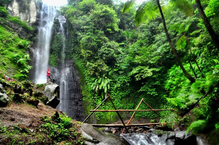Wisata Air Terjun Watu Lapis Lumajang, 1. Pemandian Alam Selokambang, 2. Liburan ke Pantai Bambang Lumajang, 3. Wisata Sejara ke Candi Mandara Giri Lumajang, 4. Tempat Wisata Alam Goa Tetes Lumajang, 5. Liburan Seru ke Gunung Semeru Lumajang, 6. Kawasan Wonorejo Terpadu (KWT) Lumajang, 7. Liburan Seru ke Pantai Watu Godeg Lumajang, 8. Tempat Wisata Alam Danau Ranu Kumbolo Lumajang, 9. Tempat Wisata Pantai Dampar Lumajang, 10. Berwisata ke Pantai Watu Pecak Lumajang, 11. Tempat Liburan Keluarga Pantai Tlepuk Lumajang, 12. Tempat Wisata Seru Gunung Lemongan Lumajang, 13. Wisata Air Terjun Manggisan Lumajang, 14. Puncak B-29, 15. Wisata Kebun Teh Kertowono Gucialit Lumajang, 16. Wisata Sejarah Situs Biting, 17. Tubing Adventure Kali Betoto, 18. Air Terjun Coban Sewu, 19. Ranu Regulo, 20. Ranu Pane, 21. Ranu Bedali, 22. Ranu Pakis, 23. Danau Klakah, 24. Wisata Air Terjun Coban Pawon Lumajang, 25. Wisata Hutan Bambu Lumajang, 26. Air Terjun Kapas Biru, 27. Ranu Lading, 28. Kolam Renang Veteran, 29. Agrowisata Lumajang, 30. Objek Wisata Goa Bima di Lumajang, 31. Wisata Air Terjun Watu Lapis Lumajang, 32. Wisata Pantai Wotgalih Lumajang, 33. Agrowisata Bunga Lumajang, 34. Museum Daerah Lumajang, 35. Gunung Sawur, 36. Gunung Wayang, 37. Coban Sriti (Antrukan Wolu), 38. Coban Kabut Pelangi, 39. Wisata Bukit Cinta Mahameru, 40. Oro Oro Ombo, 41. Air Terjun Gucialit (Semingkir), 42. Tempat Wisata Air Terjun Carang Kuning, 43. Air Terjun Antrukan Trap Seribu, 44. Air Terjun Kedung Kuwung, 45. Tirtosari View, 46. Air Terjun Antrukan Menjangan, 47. Air Terjun Antrukan Jago Lumajang, 48. Kebun Kertonowo, 49. Hutan Pinus Penanggal, 50. Grati Park, 51. Puncak Gunung Wayang, 52. Alun-alun Lumajang