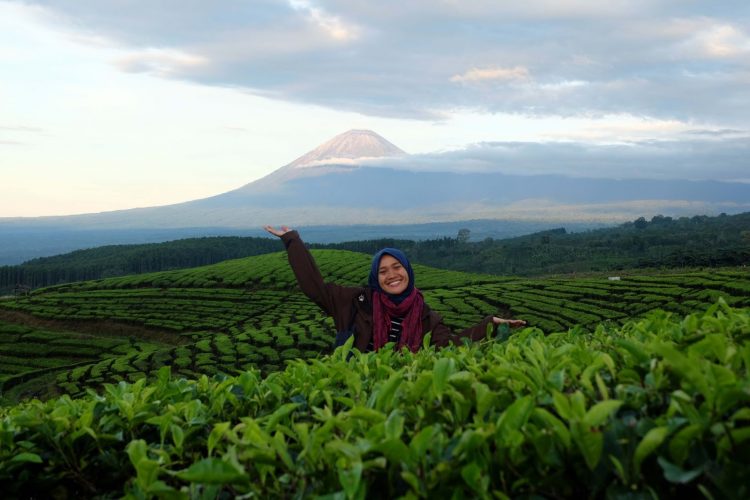 Wisata Kebun Teh Kertowono Gucialit Lumajang, 1. Pemandian Alam Selokambang, 2. Liburan ke Pantai Bambang Lumajang, 3. Wisata Sejara ke Candi Mandara Giri Lumajang, 4. Tempat Wisata Alam Goa Tetes Lumajang, 5. Liburan Seru ke Gunung Semeru Lumajang, 6. Kawasan Wonorejo Terpadu (KWT) Lumajang, 7. Liburan Seru ke Pantai Watu Godeg Lumajang, 8. Tempat Wisata Alam Danau Ranu Kumbolo Lumajang, 9. Tempat Wisata Pantai Dampar Lumajang, 10. Berwisata ke Pantai Watu Pecak Lumajang, 11. Tempat Liburan Keluarga Pantai Tlepuk Lumajang, 12. Tempat Wisata Seru Gunung Lemongan Lumajang, 13. Wisata Air Terjun Manggisan Lumajang, 14. Puncak B-29, 15. Wisata Kebun Teh Kertowono Gucialit Lumajang, 16. Wisata Sejarah Situs Biting, 17. Tubing Adventure Kali Betoto, 18. Air Terjun Coban Sewu, 19. Ranu Regulo, 20. Ranu Pane, 21. Ranu Bedali, 22. Ranu Pakis, 23. Danau Klakah, 24. Wisata Air Terjun Coban Pawon Lumajang, 25. Wisata Hutan Bambu Lumajang, 26. Air Terjun Kapas Biru, 27. Ranu Lading, 28. Kolam Renang Veteran, 29. Agrowisata Lumajang, 30. Objek Wisata Goa Bima di Lumajang, 31. Wisata Air Terjun Watu Lapis Lumajang, 32. Wisata Pantai Wotgalih Lumajang, 33. Agrowisata Bunga Lumajang, 34. Museum Daerah Lumajang, 35. Gunung Sawur, 36. Gunung Wayang, 37. Coban Sriti (Antrukan Wolu), 38. Coban Kabut Pelangi, 39. Wisata Bukit Cinta Mahameru, 40. Oro Oro Ombo, 41. Air Terjun Gucialit (Semingkir), 42. Tempat Wisata Air Terjun Carang Kuning, 43. Air Terjun Antrukan Trap Seribu, 44. Air Terjun Kedung Kuwung, 45. Tirtosari View, 46. Air Terjun Antrukan Menjangan, 47. Air Terjun Antrukan Jago Lumajang, 48. Kebun Kertonowo, 49. Hutan Pinus Penanggal, 50. Grati Park, 51. Puncak Gunung Wayang, 52. Alun-alun Lumajang