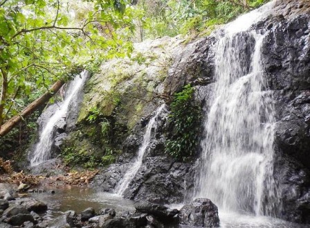 Wisata ke Air Terjun Bajuin Banjarmasin, 1. Pasar Terapung Muara Kuin Banjarmasin, 2. Pulau Kembang, 3. Wisata Religi ke Masjid Sultan Suriansyah, 4. Masjid Sabilal Muhtadin, 5. Taman Siring Sungai Martapura, 6. Taman Maskot, 7. Museum Wasaka, 8. Rafting Bambu di Sungai Amandit, 9. Jembatan Barito, 10. Pusat Kuliner Tepian Sungai Martapura, 11. Tempat Wisata Pantai Jodoh Banjarmasin, 12. Wisata ke Air Terjun Bajuin , 13. Menara Pandang Banjarmasin, 14. Wisata Susur Sungai Naik Kelotok, 15. Wisata Pulau Bakut Banjarmasin, 16. Soto Banjar Bang Amat, 17. Lontong Orari, 18. Kampung Sasirangan khas Banjar, 19. Pasar Terapung Lok Baintan, 20. Pasar Terapung Siring Sungai Martapura, 21. Taman Satwa Banjarmasin, 22. Tempat Wisata Bukit Langgara, 23. Tempat Wisata Bukit Rimpi Pelaihari, 24. Tempat Wisata Pulau Samber Gelap, 25. Hutan Pinus Mentaos, 26. Trans Studio Mini, 27. Pulau Kaget Asylum Margasatwa, 28. Wisata Danau Seran, 29. Taman Van Der Pijl, 30. Waterboom Banua Anyar, 31. Waterboom Pesona Modern, 32. Arung Jeram Sungai Kambang, 33. Taman Labirin Pelaihari