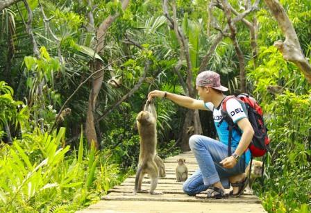 Wisata ke Pulau Kembang Banjarmasin, 1. Pasar Terapung Muara Kuin Banjarmasin, 2. Pulau Kembang, 3. Wisata Religi ke Masjid Sultan Suriansyah, 4. Masjid Sabilal Muhtadin, 5. Taman Siring Sungai Martapura, 6. Taman Maskot, 7. Museum Wasaka, 8. Rafting Bambu di Sungai Amandit, 9. Jembatan Barito, 10. Pusat Kuliner Tepian Sungai Martapura, 11. Tempat Wisata Pantai Jodoh Banjarmasin, 12. Wisata ke Air Terjun Bajuin , 13. Menara Pandang Banjarmasin, 14. Wisata Susur Sungai Naik Kelotok, 15. Wisata Pulau Bakut Banjarmasin, 16. Soto Banjar Bang Amat, 17. Lontong Orari, 18. Kampung Sasirangan khas Banjar, 19. Pasar Terapung Lok Baintan, 20. Pasar Terapung Siring Sungai Martapura, 21. Taman Satwa Banjarmasin, 22. Tempat Wisata Bukit Langgara, 23. Tempat Wisata Bukit Rimpi Pelaihari, 24. Tempat Wisata Pulau Samber Gelap, 25. Hutan Pinus Mentaos, 26. Trans Studio Mini, 27. Pulau Kaget Asylum Margasatwa, 28. Wisata Danau Seran, 29. Taman Van Der Pijl, 30. Waterboom Banua Anyar, 31. Waterboom Pesona Modern, 32. Arung Jeram Sungai Kambang, 33. Taman Labirin Pelaihari