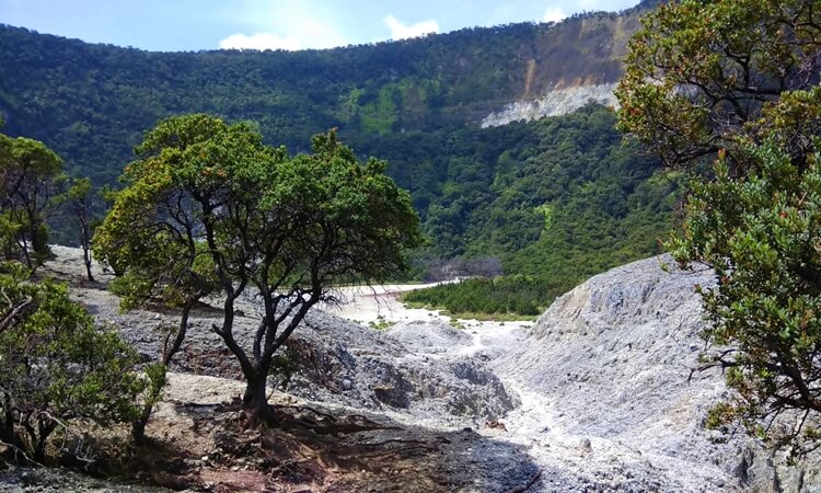 Credit : Citruz Grandis, Legenda Gunung Tangkuban Perahu, Status Gunung Tangkuban Perahu, Rute Menuju Objek Wisata Tangkuban Perahu, Alamat Lengkap Objek Wisata Tangkuban Perahu, Harga Tiket Masuk Objek Wisata Tangkuban Perahu , Tips Liburan ke Objek Wisata Tangkuban Perahu , Kuliner di Objek Wisata Tangkuban Perahu
