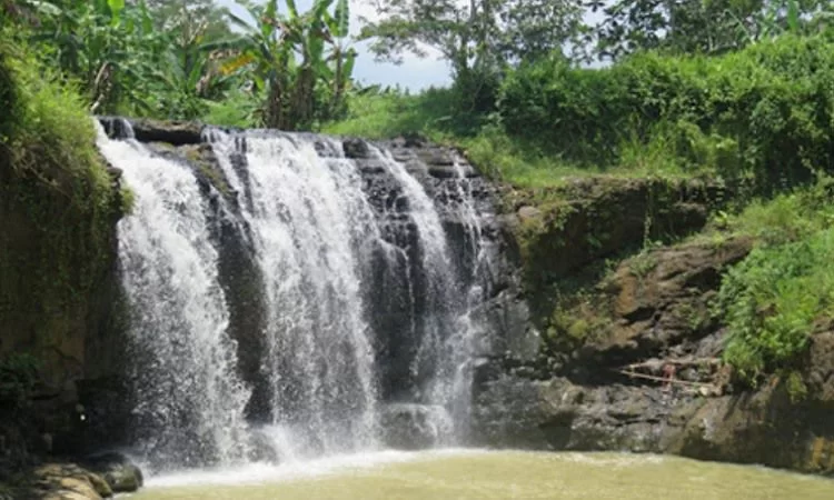 Air Terjun Kalimas via Google Maps Anggara W Prasetya, 1. Alun Alun Giri Krida Bakti, 2. Pantai Nampu, 3. Pantai Banyutowo, 4. Pantai Sembukan, 5. Waduk Gajah Mungkur, 6. Air Terjun Setren Girimanik, 7. Goa Putri Kencono, 8. Papan Luncur Gantole,  9. Museum Karst Dunia Wonogiri, 10. Wisata Spiritual Kahyangan, 11. Museum Wayang Indonesia, 12. Sendang Asri Waduk Gajah Mungkur, 13. Alas Kethu, 14. Bukit Cumbri, 15.  Wisata Air Telaga Rowo Batuwarno, 16. Telaga Claket Selogiri, 17. Goa Ngantap Wonogiri, 18. Gua Maria, 19. Jurug Kemukus, 20. Pantai Dadapan, 21. Air Terjun Kalimas, 22. Bukit Jonambang, 23. Desa Wisata Soko Gunung, 24. Pantai Klothok, 25. Pantai Puyangan, 26. Pantai Karang Bang, 27. Puncak Secokro, 28. Puncak Joglo Wonogiri, 29. Pantai Kwaru Gunturhargo Paranggupito, 30. Pantai Karang Payung, 31. Pantai Kali Mirah, 32. Pantai Njojogan, 33. Watu Cenik Wonogiri, 34. Taman Plintheng Semar, 35. Air Terjun Binangun Watu Jadah , 36. Hutan Pinus Bukit Suwondo, 37. Taman Wisata Tunggangan Jatiroto, 38. Monumen Bedol Desa, 39. Air Terjun Sanginan, 40. Kedung Areng Wonogiri, 41. Taman Ponten Wonogiri, 42. Ganthole Bawah (Menara Filter), 43. Tegal Simbah, 44. Istana Parnaraya, 45. Goa Resi, 46. Soko Langit