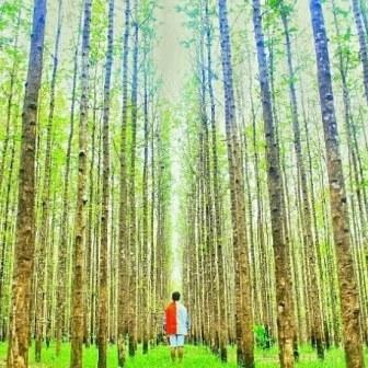 Desa Wisata Wonosoco Kudus
