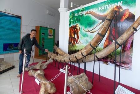 Situs Pati Ayam