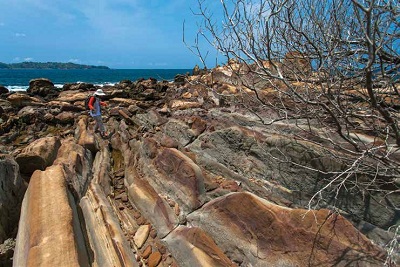Cagar Alam Geologi Karangsambung, 1. Pantai Logending Kebumen, 2. Pantai Karang Bolong Kebumen, 3. Pantai Menganti Kebumen, 4. Pantai Pecaron Kebumen, 5. Wisata Alam Kebumen Curug Silancur, 6. Wisata Alam Kebumen Goa Jatijajar, 7. Pantai Karang Agung Kebumen, 8. Air terjun Superman’s Big Sister, 9. Puncak Gunung Duwur, 10. Waduk Sempor Kebumen, 11. Arung jeram Padegolan, 12. Wisata Sejarah di Benteng Van der Wijck, 13. Cagar Alam Geologi Karangsambung, 14. Obyek wisata Kebumen pantai petanahan, 15. Pantai Suwuk Kebumen, 16. Pantai Lampon Kebumen, 17. Pemandian Air Panas Krakal, 18. Taman Kota Jenderal HM Sarbini, 19. Bukit Pranji Kebumen, 20. Bukit Langit Kebumen, 21. Wisata Alam Jembangan, 22. Pantai Bocor Kebumen, 23. Goa Petruk Kebumen, 24. Pantai Lembupurwo Kebumen , 25. Air Terjun Sudimoro Kebumen, 26. Air Terjun Sawangan Kebumen, 27. Bukit Pentulu Indah, 28. Curug Kedondong Kebumen, 29. Curug Plumbon Kebumen, 30. Pantai Surumanis, 31. Taman Reptil Kebumen, 32. Jemur Adventure Park, 33. Gading Splash Water Kebumen, 34. Pantai Gebyuran, 35. Curug Wringin, 36. Curug Silangit, 37. Gua Langse, 38. Goa Silodong, 39. Pantai Bopong, 40. Hutan Mangrove Logending, 41. Alian Butterfly Park, 42. Puncak Prabu, 43. Curug Gemawang, 44. Pantai Setrojenar, 45. Curug Karang Gemantung, 46. Tanjung Karang Penganten, 47. Bukit Buluh Payung, 48. Jembatan Merah Menganti, 49. Terowongan Ijo, 50. Curug Domas, 51. Bukit Sianco, 52. Pantai Karangbata, 53. Pantai Laguna, 54. Pantai Sawangan, 55. Bulupitu