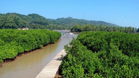 Hutan Mangrove Logending - tempat wisata di kebumen, 1. Pantai Logending Kebumen, 2. Pantai Karang Bolong Kebumen, 3. Pantai Menganti Kebumen, 4. Pantai Pecaron Kebumen, 5. Wisata Alam Kebumen Curug Silancur, 6. Wisata Alam Kebumen Goa Jatijajar, 7. Pantai Karang Agung Kebumen, 8. Air terjun Superman’s Big Sister, 9. Puncak Gunung Duwur, 10. Waduk Sempor Kebumen, 11. Arung jeram Padegolan, 12. Wisata Sejarah di Benteng Van der Wijck, 13. Cagar Alam Geologi Karangsambung, 14. Obyek wisata Kebumen pantai petanahan, 15. Pantai Suwuk Kebumen, 16. Pantai Lampon Kebumen, 17. Pemandian Air Panas Krakal, 18. Taman Kota Jenderal HM Sarbini, 19. Bukit Pranji Kebumen, 20. Bukit Langit Kebumen, 21. Wisata Alam Jembangan, 22. Pantai Bocor Kebumen, 23. Goa Petruk Kebumen, 24. Pantai Lembupurwo Kebumen , 25. Air Terjun Sudimoro Kebumen, 26. Air Terjun Sawangan Kebumen, 27. Bukit Pentulu Indah, 28. Curug Kedondong Kebumen, 29. Curug Plumbon Kebumen, 30. Pantai Surumanis, 31. Taman Reptil Kebumen, 32. Jemur Adventure Park, 33. Gading Splash Water Kebumen, 34. Pantai Gebyuran, 35. Curug Wringin, 36. Curug Silangit, 37. Gua Langse, 38. Goa Silodong, 39. Pantai Bopong, 40. Hutan Mangrove Logending, 41. Alian Butterfly Park, 42. Puncak Prabu, 43. Curug Gemawang, 44. Pantai Setrojenar, 45. Curug Karang Gemantung, 46. Tanjung Karang Penganten, 47. Bukit Buluh Payung, 48. Jembatan Merah Menganti, 49. Terowongan Ijo, 50. Curug Domas, 51. Bukit Sianco, 52. Pantai Karangbata, 53. Pantai Laguna, 54. Pantai Sawangan, 55. Bulupitu