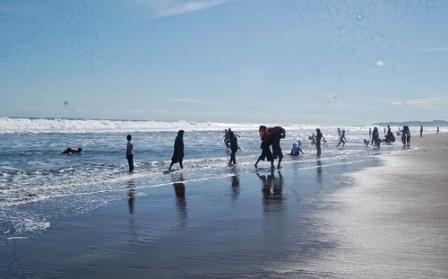 Obyek wisata Kebumen pantai petanahan, 1. Pantai Logending Kebumen, 2. Pantai Karang Bolong Kebumen, 3. Pantai Menganti Kebumen, 4. Pantai Pecaron Kebumen, 5. Wisata Alam Kebumen Curug Silancur, 6. Wisata Alam Kebumen Goa Jatijajar, 7. Pantai Karang Agung Kebumen, 8. Air terjun Superman’s Big Sister, 9. Puncak Gunung Duwur, 10. Waduk Sempor Kebumen, 11. Arung jeram Padegolan, 12. Wisata Sejarah di Benteng Van der Wijck, 13. Cagar Alam Geologi Karangsambung, 14. Obyek wisata Kebumen pantai petanahan, 15. Pantai Suwuk Kebumen, 16. Pantai Lampon Kebumen, 17. Pemandian Air Panas Krakal, 18. Taman Kota Jenderal HM Sarbini, 19. Bukit Pranji Kebumen, 20. Bukit Langit Kebumen, 21. Wisata Alam Jembangan, 22. Pantai Bocor Kebumen, 23. Goa Petruk Kebumen, 24. Pantai Lembupurwo Kebumen , 25. Air Terjun Sudimoro Kebumen, 26. Air Terjun Sawangan Kebumen, 27. Bukit Pentulu Indah, 28. Curug Kedondong Kebumen, 29. Curug Plumbon Kebumen, 30. Pantai Surumanis, 31. Taman Reptil Kebumen, 32. Jemur Adventure Park, 33. Gading Splash Water Kebumen, 34. Pantai Gebyuran, 35. Curug Wringin, 36. Curug Silangit, 37. Gua Langse, 38. Goa Silodong, 39. Pantai Bopong, 40. Hutan Mangrove Logending, 41. Alian Butterfly Park, 42. Puncak Prabu, 43. Curug Gemawang, 44. Pantai Setrojenar, 45. Curug Karang Gemantung, 46. Tanjung Karang Penganten, 47. Bukit Buluh Payung, 48. Jembatan Merah Menganti, 49. Terowongan Ijo, 50. Curug Domas, 51. Bukit Sianco, 52. Pantai Karangbata, 53. Pantai Laguna, 54. Pantai Sawangan, 55. Bulupitu