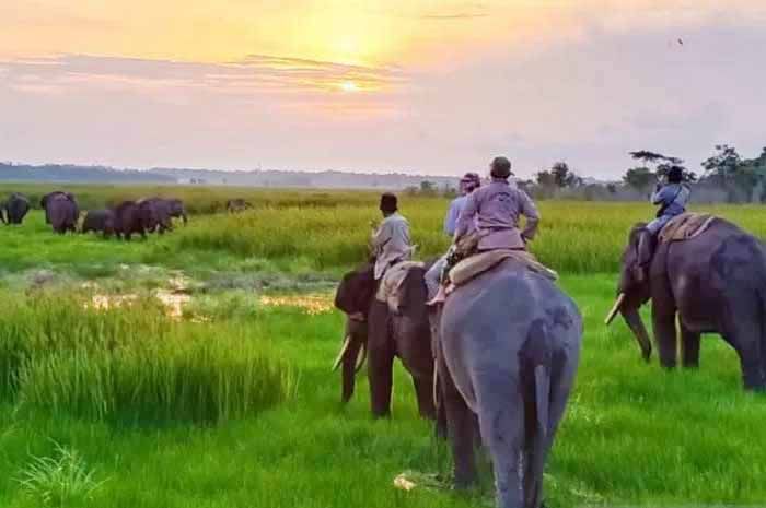 Taman Nasional Way Kambas via Pikiran Rakyat