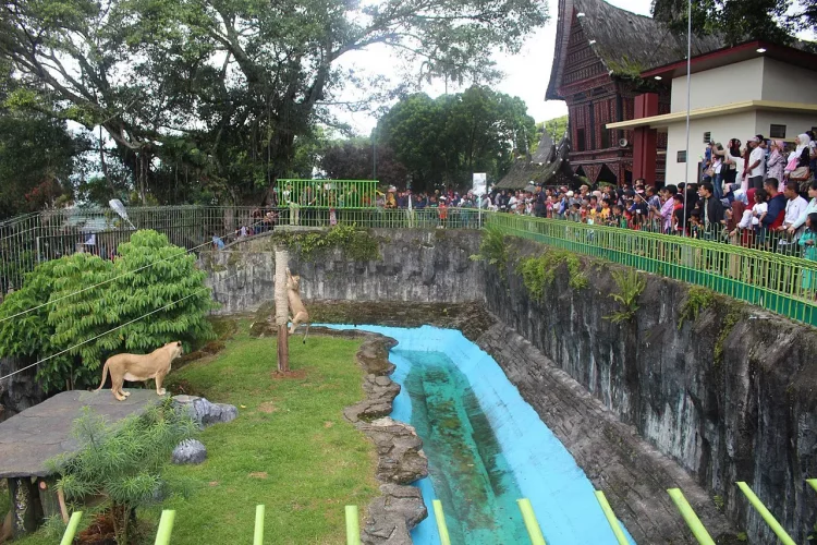 Taman Margasatwa dan Budaya Kinantan via Fahirahotel
