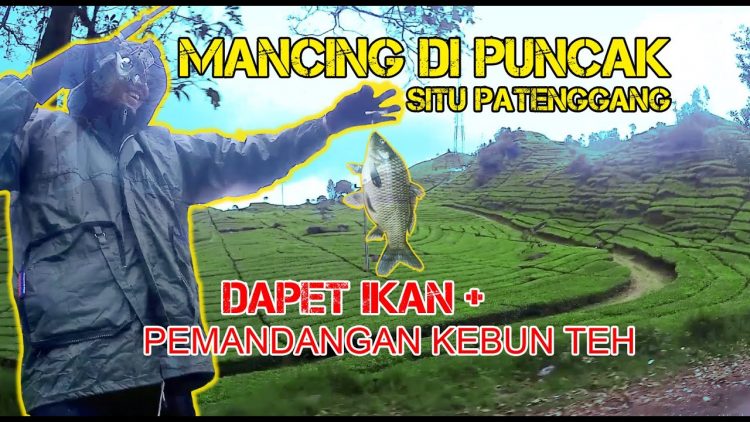 Menyalurkan Hobi Memancing via Youtube, Informasi Umum, Legenda Situ Patenggang, Lokasi Situ Patenggang, Rute Danau Situ Patenggang, Harga Tiket Masuk Situ Patenggang, Fasilitas, Aktivitas Seru di Situ Patenggang