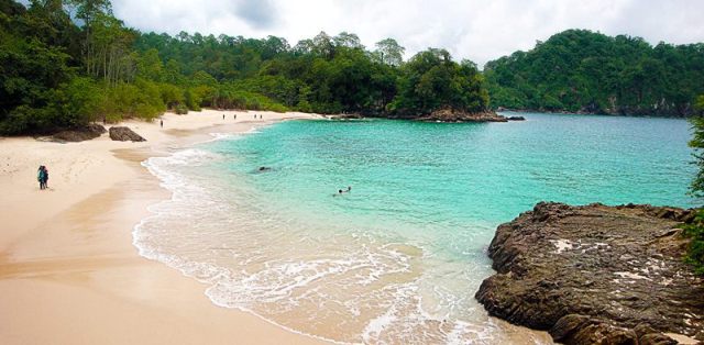 Pantai Teluk Hijau Taman Nasional Meru Betiri, Sejarah Singkat Taman Nasional Meru Betiri, Lokasi Taman Nasional Meru Betiri, Transportasi Menuju Taman Nasional Meru Betiri, Daya Tarik Taman Nasional Meru Betiri, Pantai di Taman Nasional Meru Betiri, Flora dan Fauna di Taman Nasional Meru Betiri