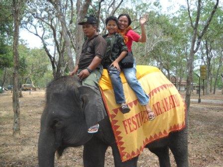 Liburan seru di taman nasional way kambas, Sejarah Way Kambas, Lokasi dan Rute Menuju Way Kambas, #Harga Tiket Masuk Way Kambas, #Daya Tarik Way Kambas, #Fasilitas yang Tersedia di Way Kambas, #Wahana Wisata Taman Nasional Way Kambas, #Tips untuk Pengunjung Way Kambas, #Penginapan Taman Nasional Way Kambas