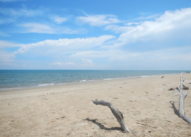 Sudut Lain di Pantai Asmara, Lokasi Pantai Asmara, Aktivitas Seru di Pantai Asmara, Rute Menuju Pantai Asmara, Harga Tiket Masuk Pantai Asmara, Akomodasi Penginapan di Sekitar Pantai Asmara