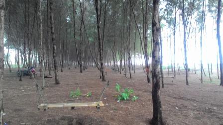 Pantai Sodong, 1. Wisata Hutan Payau (Mangrove), 2. Kampung Laut Cilacap, 3. Benteng Pendhem Cilacap, 4. Benteng Karang Bolong, 5. Gunung Srandil Cilacap, 6. Gunung Selok, 7. Pantai Jetis, 8. Pantai Teluk Penyu, 9. Pantai Permisan Cilacap, 10. Pantai Kalipat, 11. Pantai Kali Kencana, 12. Pantai Karang Pandan, 13. Pantai Widara Payung, 14. Waduk Kubang Kangkung, 15. Curug Cimandaway, 16. Hutan Pinus Karanggedang, 17. Desa Matenggeng, 18. Masjid Batu Taman Hati, 19. Alun-Alun Majenang, 20. Pura Mandara Giri Gunung Selok, 21. Air Terjun Citepus, 22. Banyu Pratama, 23. Waterpark Tirta Mas, 24. Alun-Alun Kroya, 25. Museum Susilo Soedarman, 26. Pantai Srandil, 27. Bumi Perkemahan Jambusari, 28. Pemandian Air Panas Cipari, 29. Pantai Ketapang Indah, 31. Pantai Sodong, 32. Pantai Cemara Sewu, 33. Curug Mandala, 34. Pantai Pasir Putih, 35. Pantai Singkil Karang Pakis, 36. Pantai Ranca Babakan