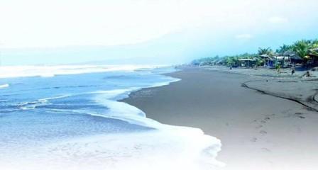 Pantai Widara Payung, 1. Wisata Hutan Payau (Mangrove), 2. Kampung Laut Cilacap, 3. Benteng Pendhem Cilacap, 4. Benteng Karang Bolong, 5. Gunung Srandil Cilacap, 6. Gunung Selok, 7. Pantai Jetis, 8. Pantai Teluk Penyu, 9. Pantai Permisan Cilacap, 10. Pantai Kalipat, 11. Pantai Kali Kencana, 12. Pantai Karang Pandan, 13. Pantai Widara Payung, 14. Waduk Kubang Kangkung, 15. Curug Cimandaway, 16. Hutan Pinus Karanggedang, 17. Desa Matenggeng, 18. Masjid Batu Taman Hati, 19. Alun-Alun Majenang, 20. Pura Mandara Giri Gunung Selok, 21. Air Terjun Citepus, 22. Banyu Pratama, 23. Waterpark Tirta Mas, 24. Alun-Alun Kroya, 25. Museum Susilo Soedarman, 26. Pantai Srandil, 27. Bumi Perkemahan Jambusari, 28. Pemandian Air Panas Cipari, 29. Pantai Ketapang Indah, 31. Pantai Sodong, 32. Pantai Cemara Sewu, 33. Curug Mandala, 34. Pantai Pasir Putih, 35. Pantai Singkil Karang Pakis, 36. Pantai Ranca Babakan