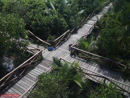 Wisata Hutan Payau (Mangrove), 1. Wisata Hutan Payau (Mangrove), 2. Kampung Laut Cilacap, 3. Benteng Pendhem Cilacap, 4. Benteng Karang Bolong, 5. Gunung Srandil Cilacap, 6. Gunung Selok, 7. Pantai Jetis, 8. Pantai Teluk Penyu, 9. Pantai Permisan Cilacap, 10. Pantai Kalipat, 11. Pantai Kali Kencana, 12. Pantai Karang Pandan, 13. Pantai Widara Payung, 14. Waduk Kubang Kangkung, 15. Curug Cimandaway, 16. Hutan Pinus Karanggedang, 17. Desa Matenggeng, 18. Masjid Batu Taman Hati, 19. Alun-Alun Majenang, 20. Pura Mandara Giri Gunung Selok, 21. Air Terjun Citepus, 22. Banyu Pratama, 23. Waterpark Tirta Mas, 24. Alun-Alun Kroya, 25. Museum Susilo Soedarman, 26. Pantai Srandil, 27. Bumi Perkemahan Jambusari, 28. Pemandian Air Panas Cipari, 29. Pantai Ketapang Indah, 31. Pantai Sodong, 32. Pantai Cemara Sewu, 33. Curug Mandala, 34. Pantai Pasir Putih, 35. Pantai Singkil Karang Pakis, 36. Pantai Ranca Babakan