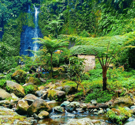 Camping Ground di Curug Nangka, Alamat Curug Nangka Bogor, Rute Menuju Lokasi Wisata Alam Curug Nangka, Perjalanan Menuju Kawasan Wisata Curug Nangka, Fasilitas yang Tersedia di Lokasi Wisata Curug Nangka, Harga Tiket Masuk Objek Wisata Curug Nangka, Keindahan Objek Wisata Curug Nangka, Camping Ground di Curug Nangka