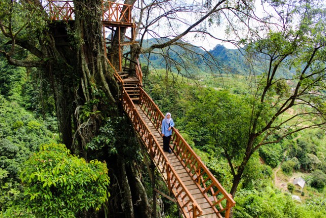Rumah pohon Curug Cipamingkis, Alamat Curug Cipamingkis, Mitos dan Legenda dari Curug Pamingkis, Daya Tarik Tersendiri Curug Cipamingkis, Rute Menuju Kawasan Wisata Curug Cipamingkin, Akses Jalan Mudah di Tempuh, Harga Tiket Masuk Curug Cipamingkis, Fasilitas yang Tersedia di Objek Wisata Alam Curug Cipamingkis, Curug Cipamingkis Pilihan Menarik untuk Liburan, Tips Liburan, Wisata Terdekat Dari Curug Cipamingkis Bogor