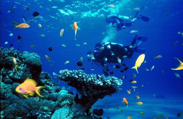 Bawah Laut di Pantai Senggigi, Informasi Umum, Lokasi Pantai Senggigi, Rute Menuju Lokasi Pantai , Keindahan Pantai Senggigi Lombok, Kondisi Pantai Senggigi, Daya Tarik Pantai Senggigi, Kegiatan Seru di Pantai Senggigi, Akomodasi di Pantai Senggigi
