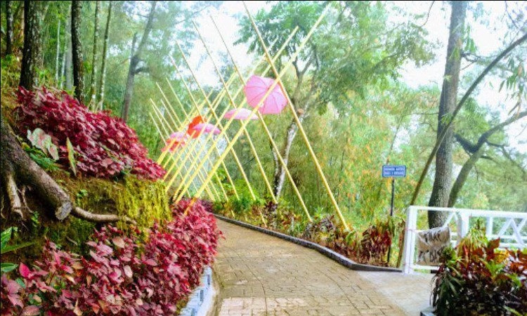 Hutan Pinus Suwono via Google Maps