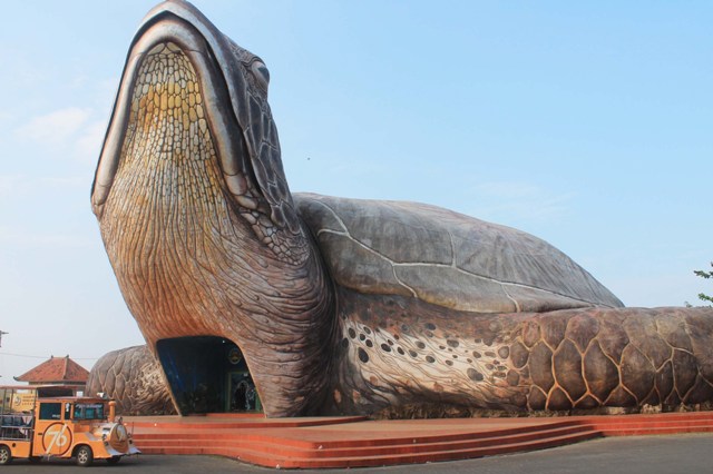 Kura-kura ocean park Pantai Kartini, Lokasi Pantai Kartini, Akses Menuju Ke Pantai Kartini, Harga Tiket Masuk Pantai Kartini, Kegiatan yang Dapat Dilakukan Di Pantai Kartini, Wahana Liburan di Pantai Kartini, Wahana Permainan di Pantai Kartini Jepara, Kura-Kura Ocean Park