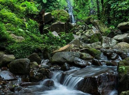 Objek Wisata Air Terjun Suwono