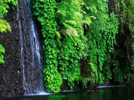 Objek Wisata Air Terjun Teleng
