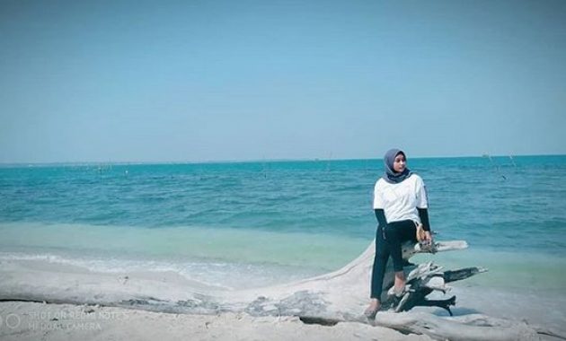 Pesona Pantai Kartini, Lokasi Pantai Kartini, Akses Menuju Ke Pantai Kartini, Harga Tiket Masuk Pantai Kartini, Kegiatan yang Dapat Dilakukan Di Pantai Kartini, Wahana Liburan di Pantai Kartini, Wahana Permainan di Pantai Kartini Jepara, Kura-Kura Ocean Park