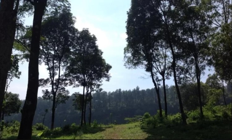 Taman Hutan Segawen