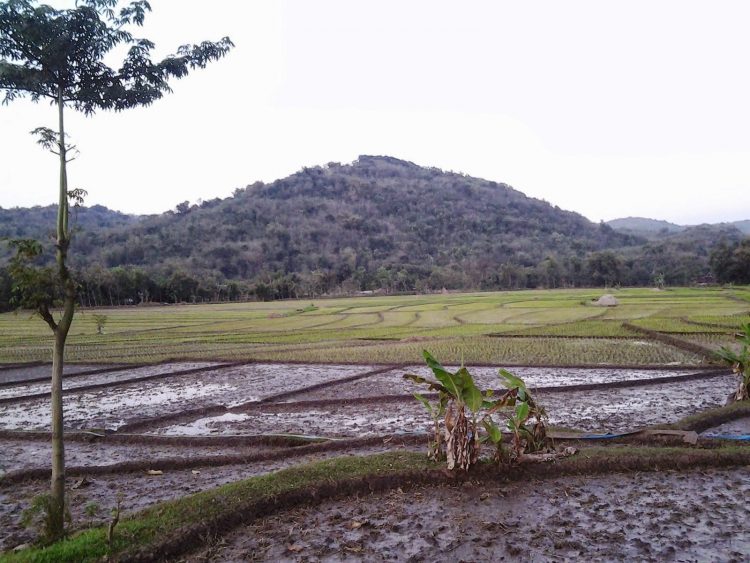 Gunung Bancak